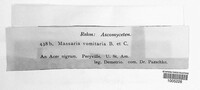 Image Associated With the Occurence